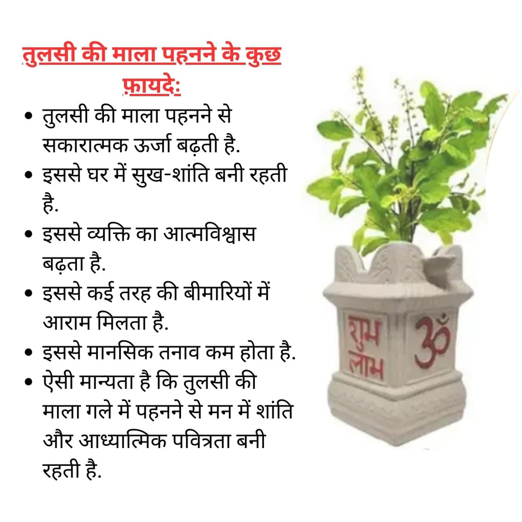 Bageshwar Dham Tulsi Mala Set