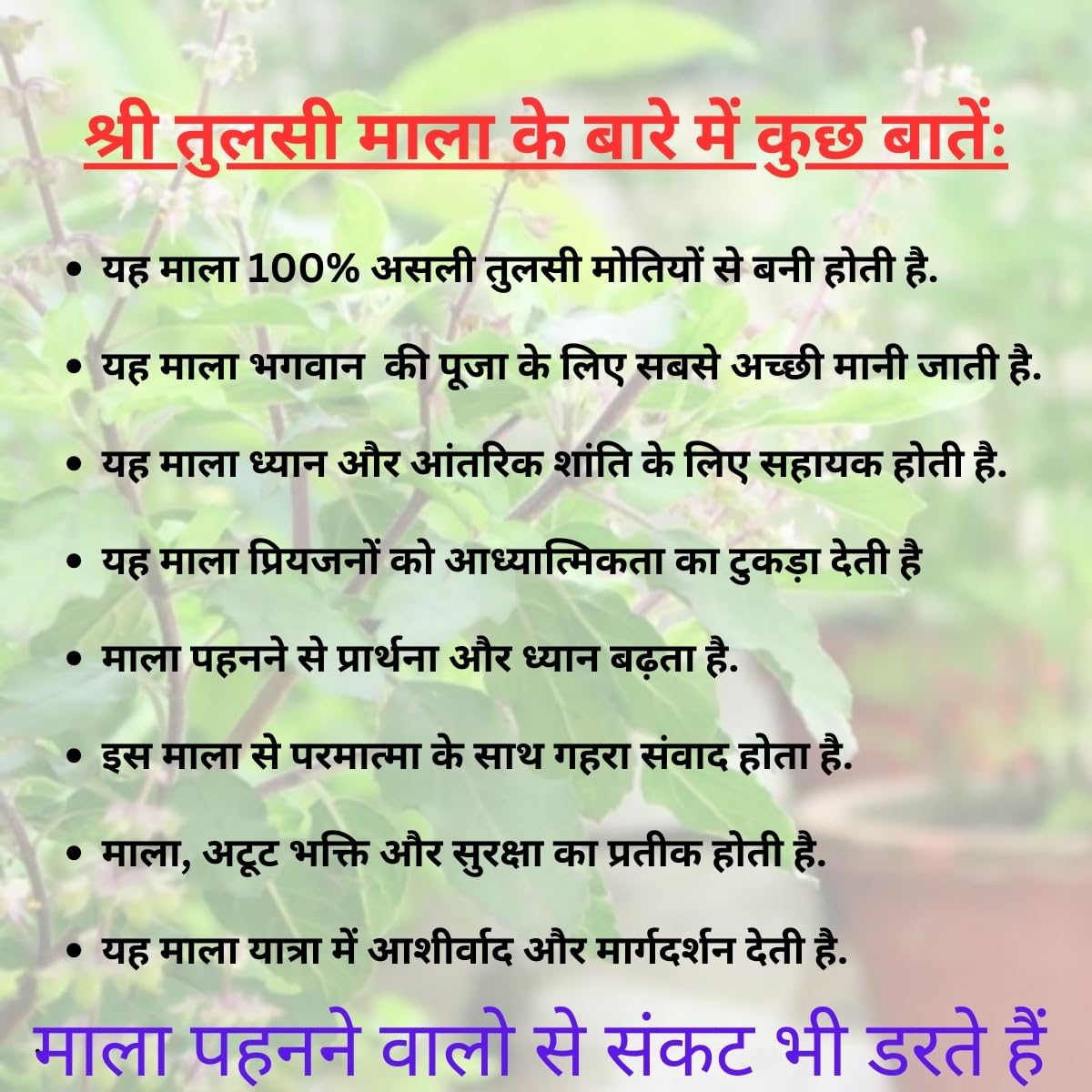 Bageshwar Dham Tulsi Mala Set